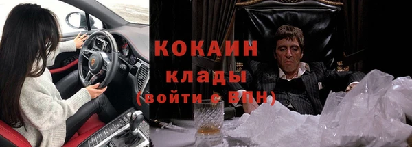 дживик Иннополис