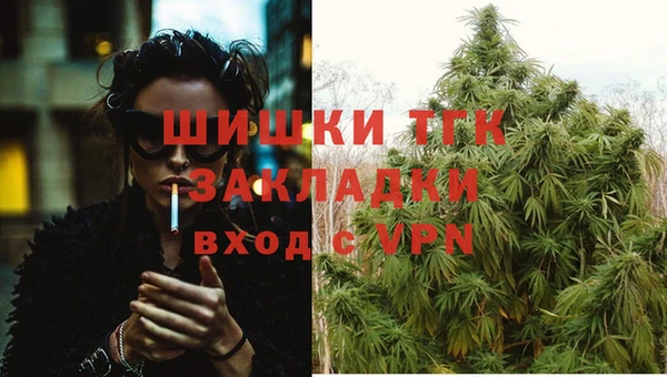 эйфоретик Инта