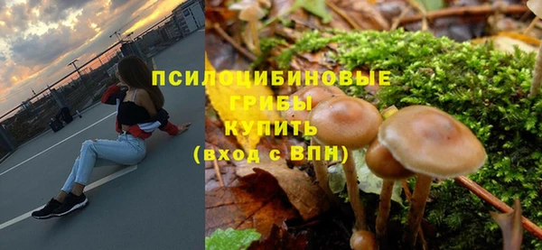 гашик Зеленокумск