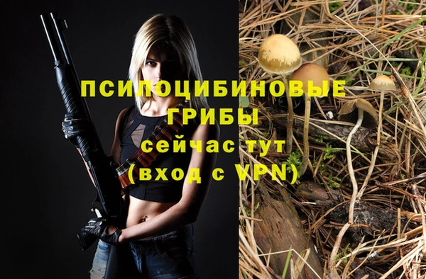 дживик Иннополис